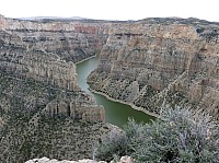 Big horn N.P_16.JPG